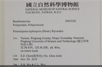 登錄號:F0035390藏品圖，第2張