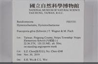 登錄號:F0035391藏品圖，第2張