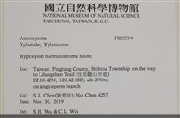 登錄號:F0035394藏品圖，第2張
