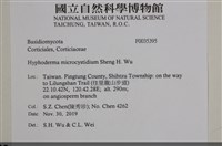 登錄號:F0035395藏品圖，第2張