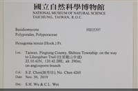 登錄號:F0035397藏品圖，第2張