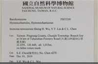 登錄號:F0035399藏品圖，第2張