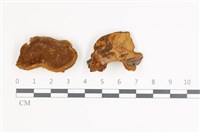 登錄號:F0035400藏品圖，第1張