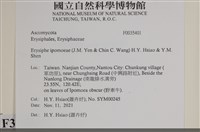 館號:F0035401藏品圖，第2張