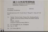 登錄號:F0035402藏品圖，第2張