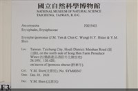 登錄號:F0035403藏品圖，第2張