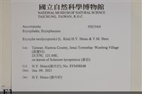 登錄號:F0035404藏品圖，第2張