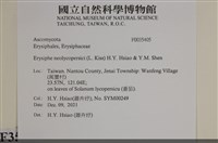 登錄號:F0035405藏品圖，第2張