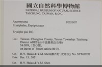 登錄號:F0035407藏品圖，第2張
