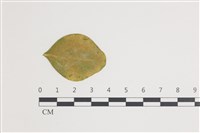 登錄號:F0035407藏品圖，第1張