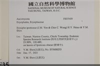 登錄號:F0035409藏品圖，第2張