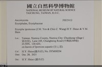 登錄號:F0035410藏品圖，第2張