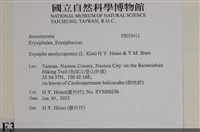 登錄號:F0035412藏品圖，第2張