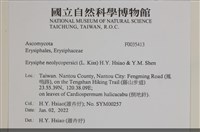 登錄號:F0035413藏品圖，第2張