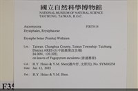登錄號:F0035414藏品圖，第2張