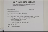 登錄號:F0035418藏品圖，第2張