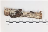 登錄號:F0035418藏品圖，第1張