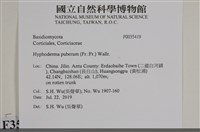 登錄號:F0035419藏品圖，第2張