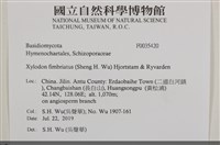 登錄號:F0035420藏品圖，第2張