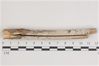 登錄號:F0035420藏品圖，第1張