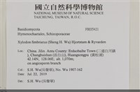 登錄號:F0035421藏品圖，第2張