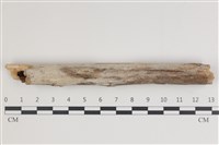 登錄號:F0035421藏品圖，第1張