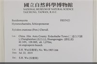 登錄號:F0035423藏品圖，第2張