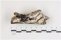 登錄號:F0035423藏品圖，第1張