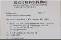 登錄號:F0035424藏品圖，第2張