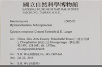 登錄號:F0035425藏品圖，第2張