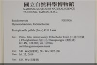 登錄號:F0035426藏品圖，第2張