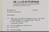 登錄號:F0035427藏品圖，第2張