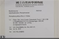 登錄號:F0035428藏品圖，第2張