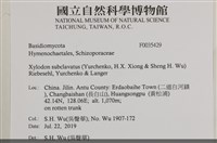 登錄號:F0035429藏品圖，第2張