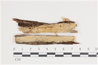 登錄號:F0035429藏品圖，第1張