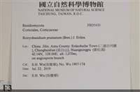 登錄號:F0035430藏品圖，第2張