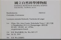 登錄號:F0035432藏品圖，第2張