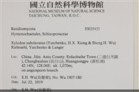 館號:F0035433藏品圖，第2張