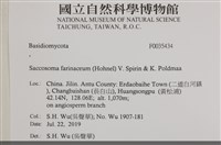 登錄號:F0035434藏品圖，第2張