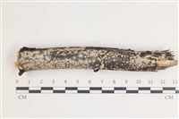 登錄號:F0035434藏品圖，第1張
