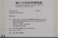 登錄號:F0035437藏品圖，第2張