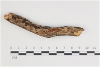 登錄號:F0035437藏品圖，第1張