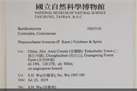 登錄號:F0035438藏品圖，第2張