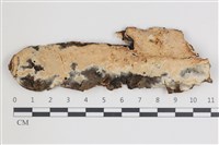 登錄號:F0035438藏品圖，第1張