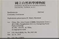 登錄號:F0035440藏品圖，第2張
