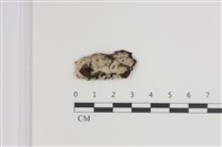 登錄號:F0035440藏品圖，第1張