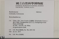 登錄號:F0035441藏品圖，第2張