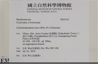 登錄號:F0035442藏品圖，第2張