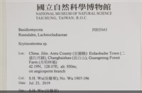 登錄號:F0035443藏品圖，第2張