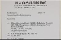 登錄號:F0035444藏品圖，第2張